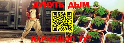 гашик Тверь
