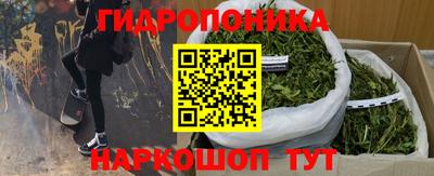индика Татарск