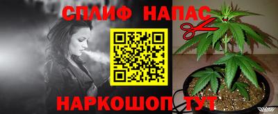 гашик Тверь