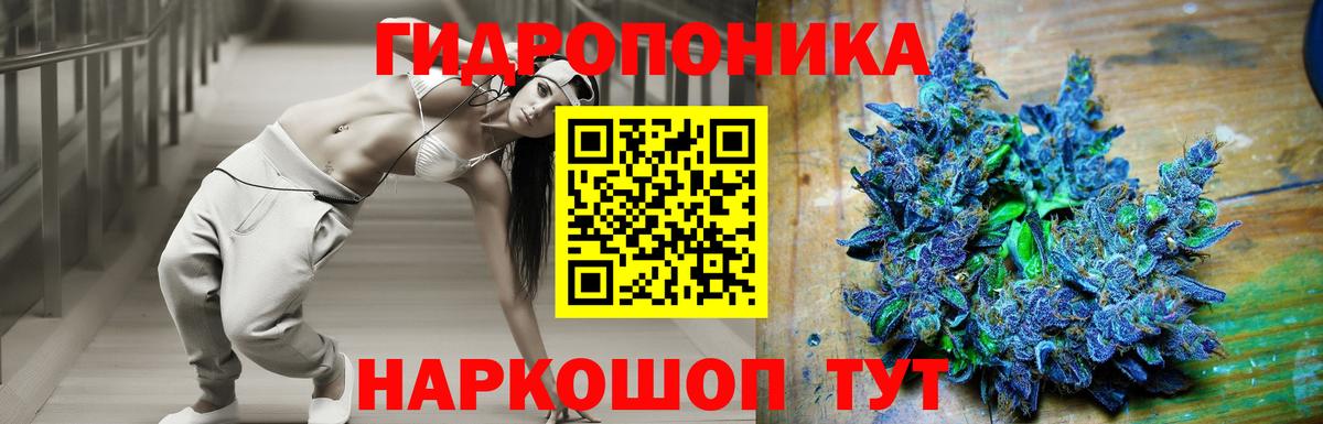 Бошки Шишки гибрид  Вход с VPN  Бошки Шишки план  Марихуана SATIVA & INDICA  Родники 
